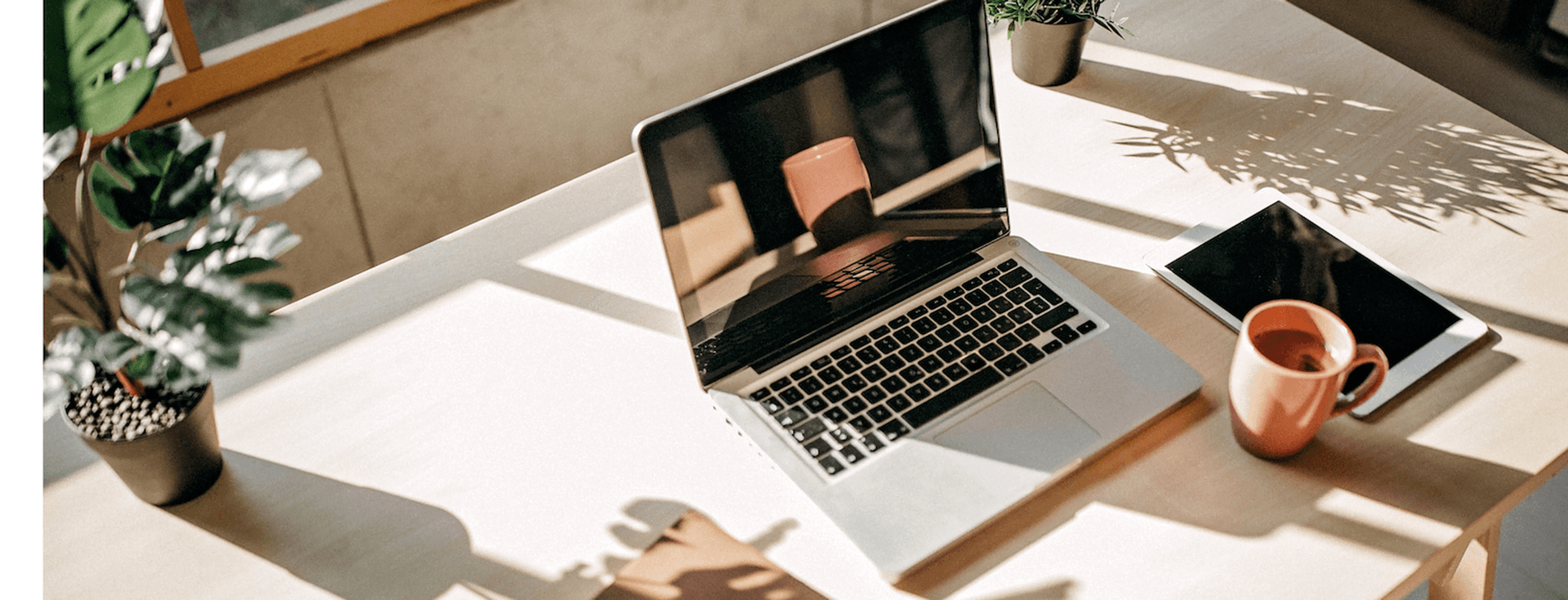 Tipps für Coworking im Sommer