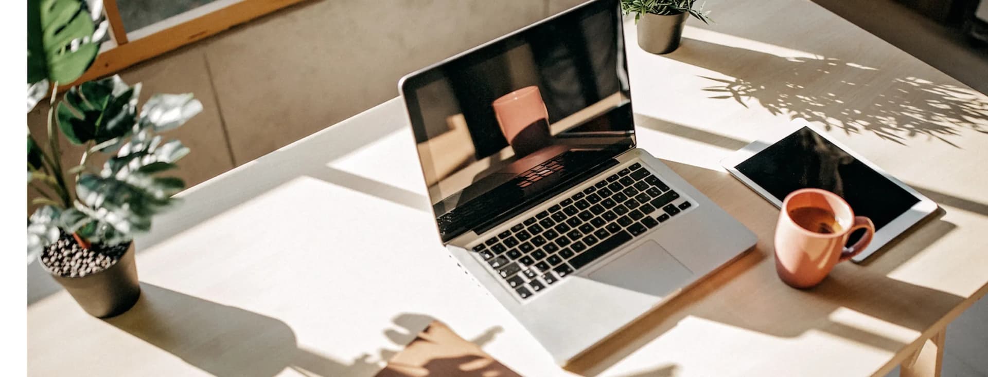 Tipps für Coworking im Sommer