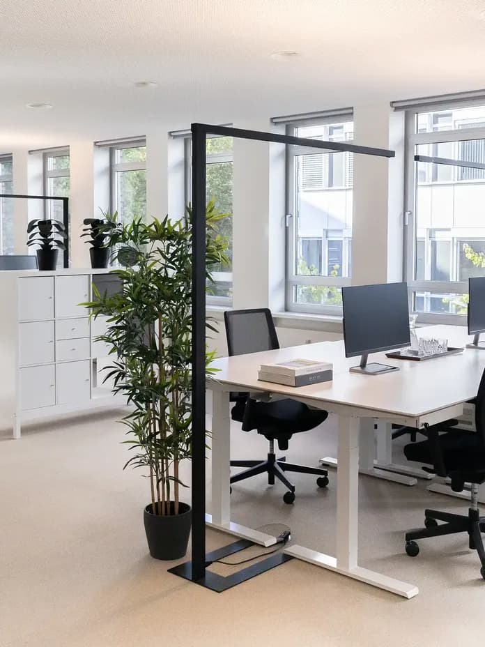 Modern office space with desks, chairs, computers, and potted plants. Large windows allow natural light to fill the room.